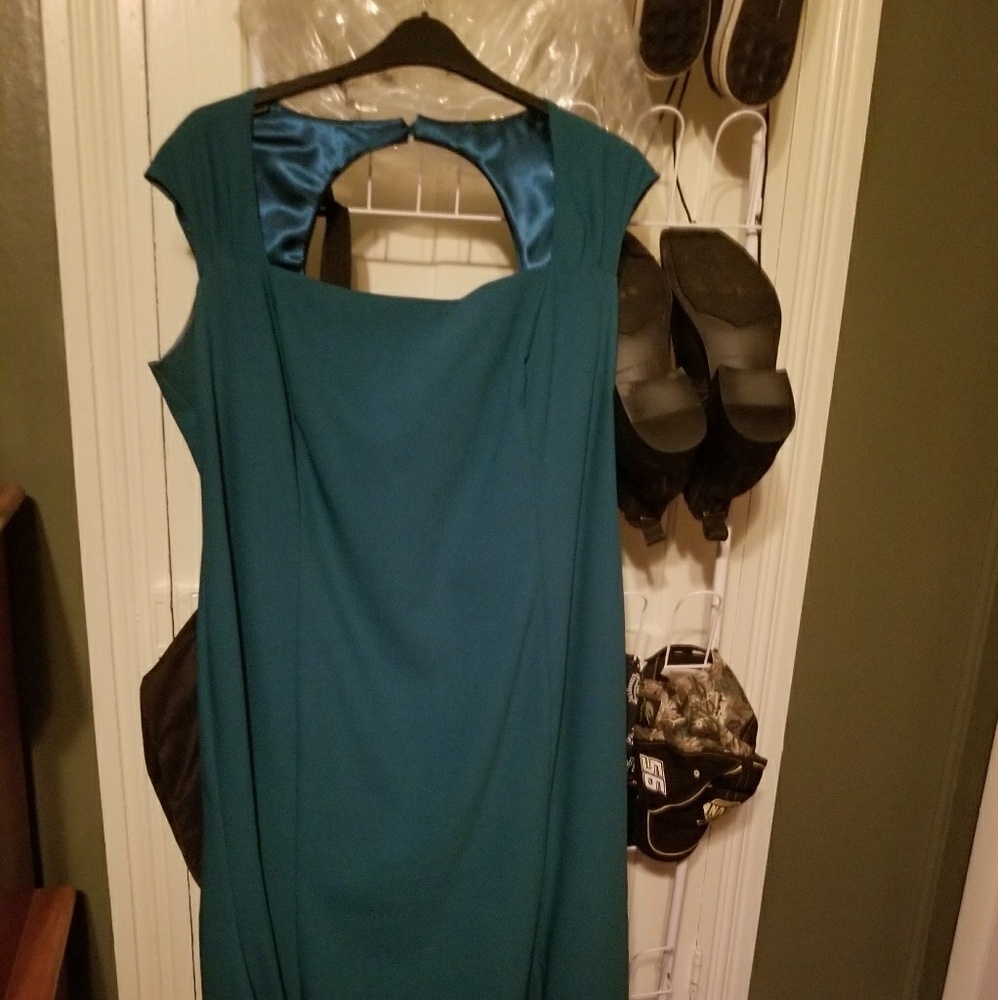 Project D "Whitney" swallow tail dress